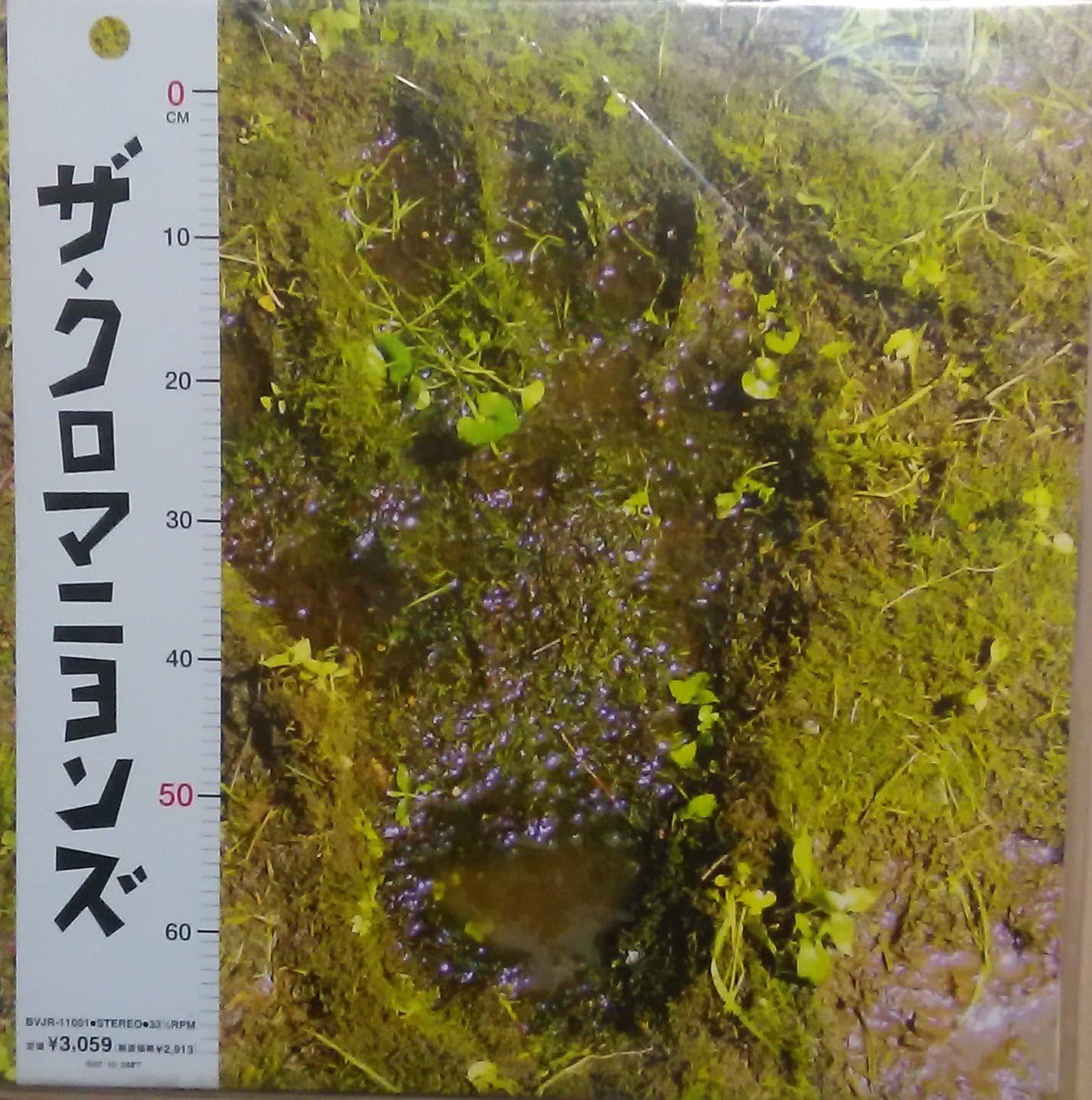 ザ・クロマニヨンズ