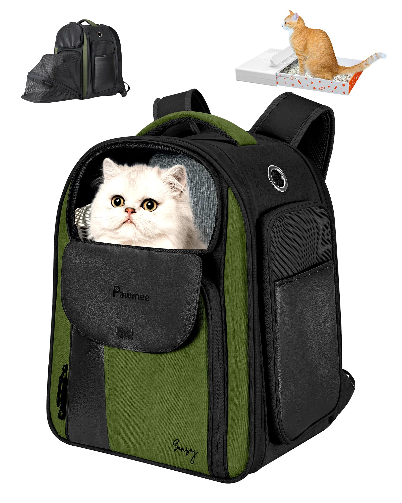 Carys Charismatic Cat キャリーズ チャリスマティック Amazon.com : Sensej x Pawmee Cat Carrier Backpack with Cat Litter