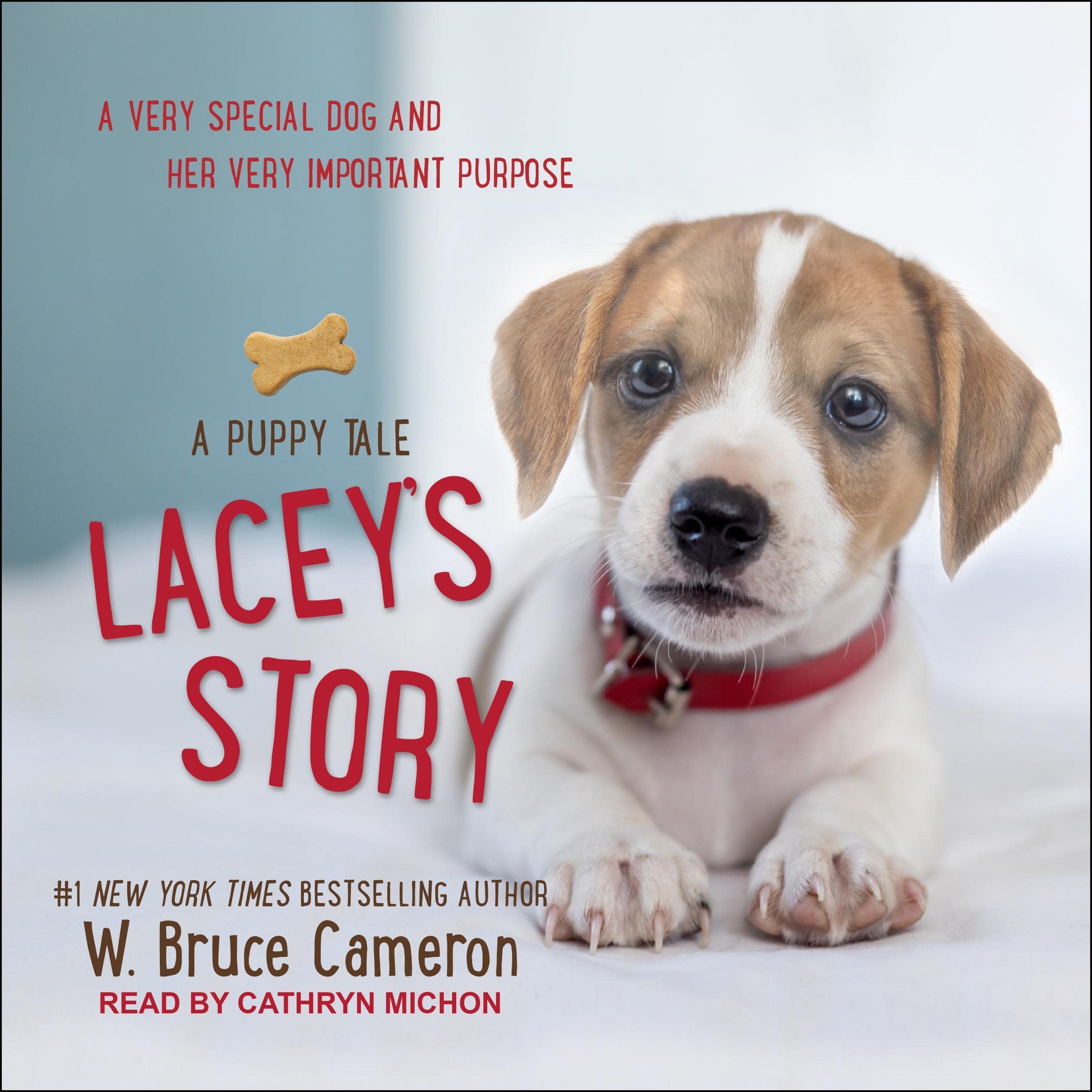 Cover art for Lacey’s Story