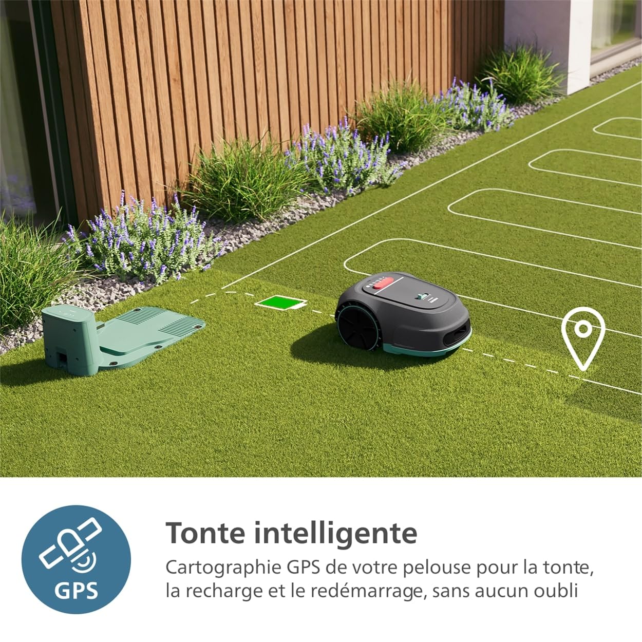 Philips Accessoire Tondeuse Robot, Câble périphérique 100m