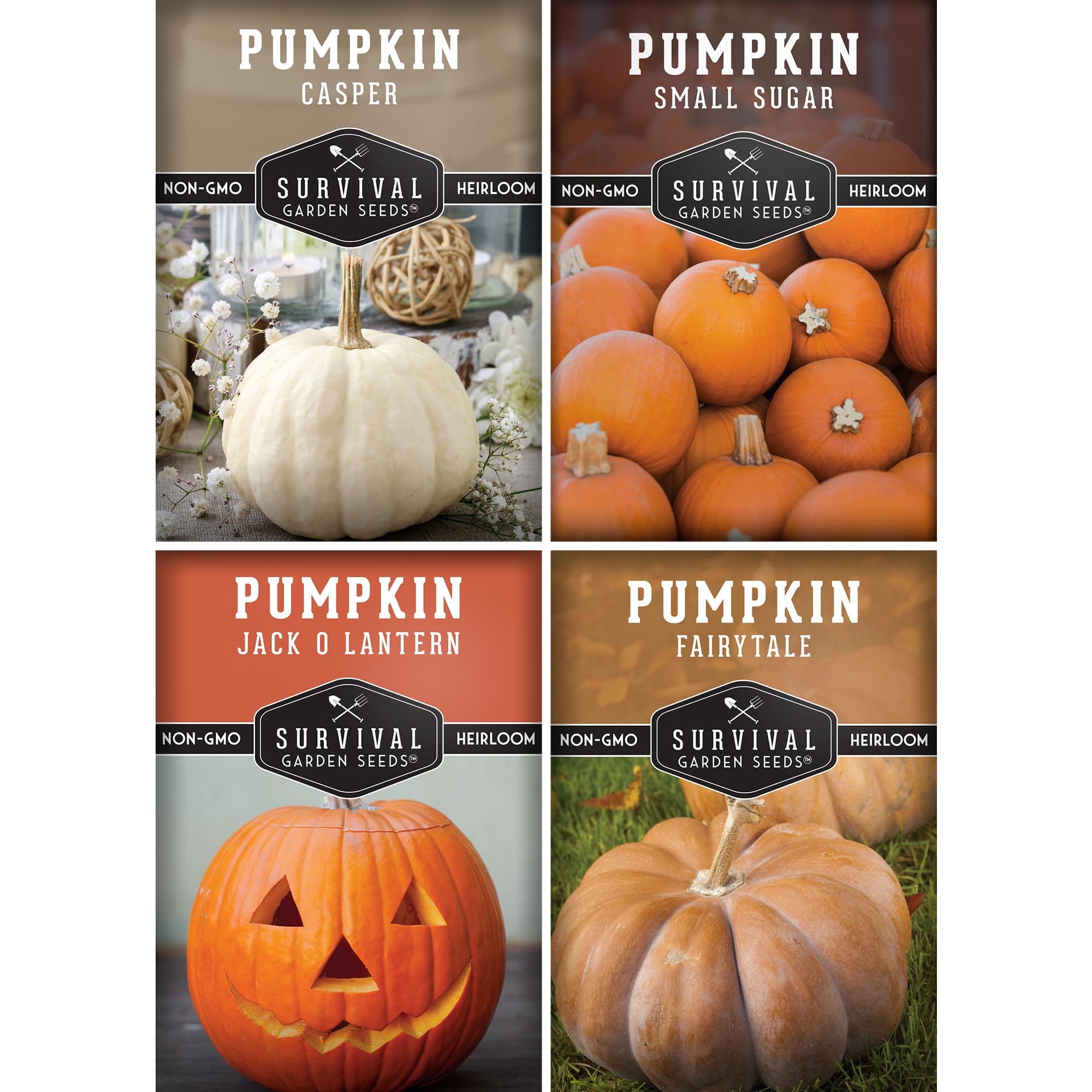 Pumpkin Seeds 4 Variety Pack for Planting – Small Sugar, Jack O’ Lantern, Fairytale & Casper Heirloom Non-GMO Pumpkin Seed Collection | Survival Garden Seeds