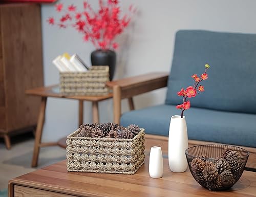 Miniatura 6 de Ellinia Cestas de almacenamiento de mimbre, cestas de pastos marinos para organización de mostradores, cestas rectangulares tejidas a mano para