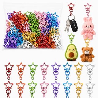 40 Stück Stern Schlüsselanhänger Bunt, Karabiner Stern mit Drehgelenk, Schlüsselring Klein, Schlüsselring S-tern Hummer Haken, Schlüsselanhänger diy Set für DIY Basteln,Schlüssel,Anhänger Rucksack