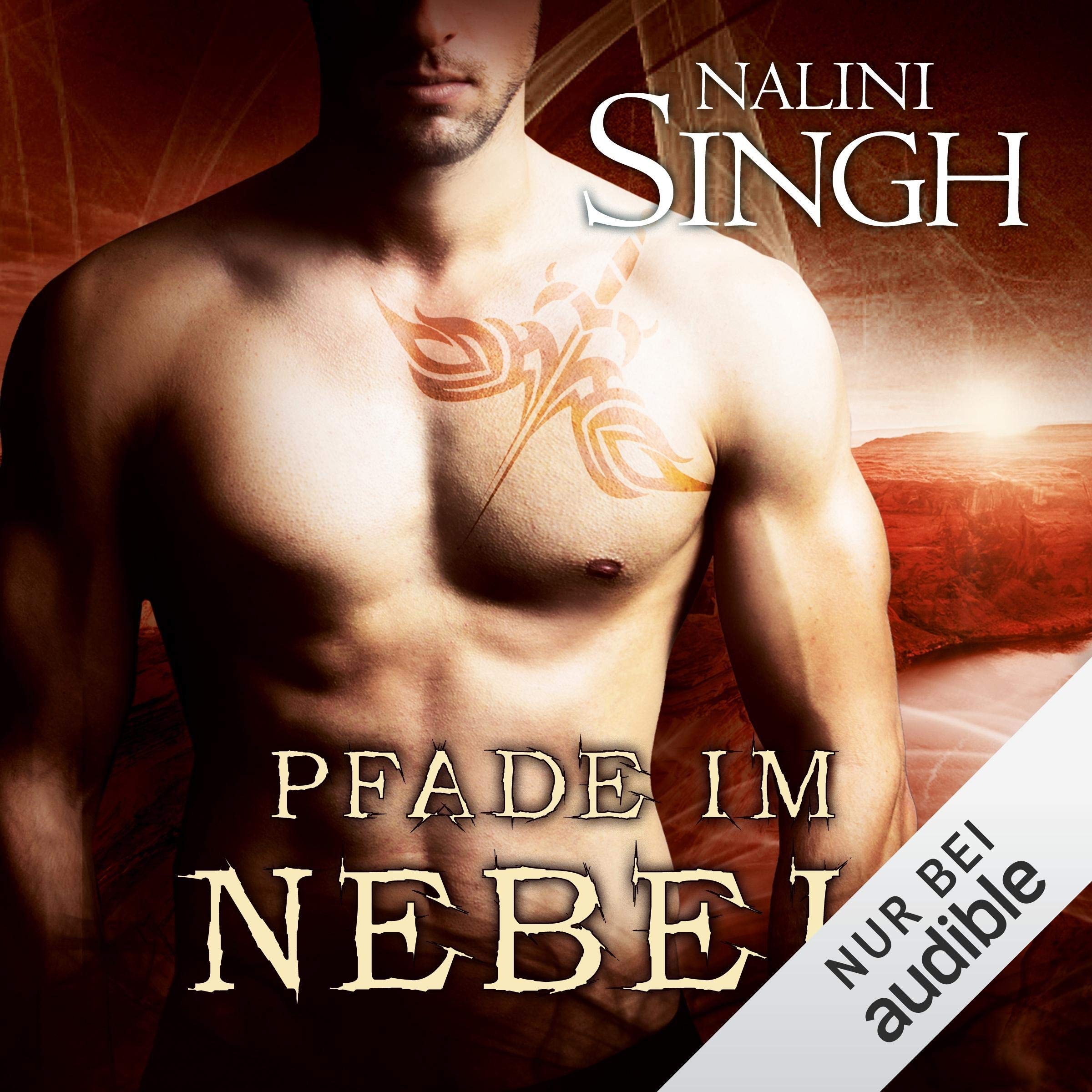 Cover art for Pfade im Nebel