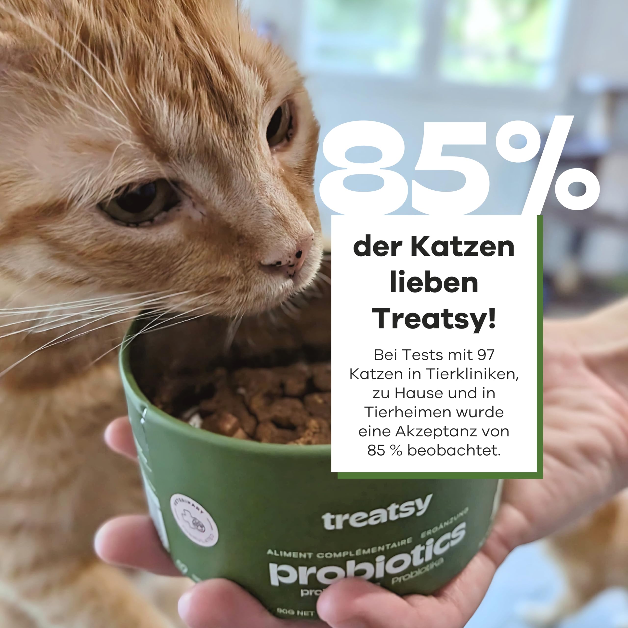 Ergänzungsfuttermittel für Katzen – Verdauung – Gegen Durchfall & Verstopfung – Prä- & Probiotika, Flohsamenschalen – Von Tierärzten empfohlen