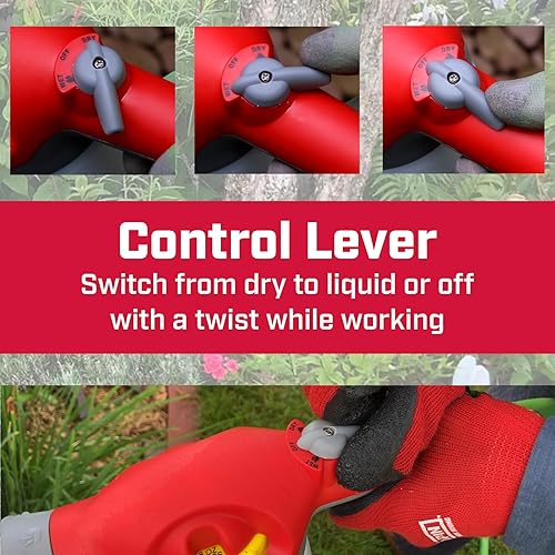 Miniatura 5 de Chapin