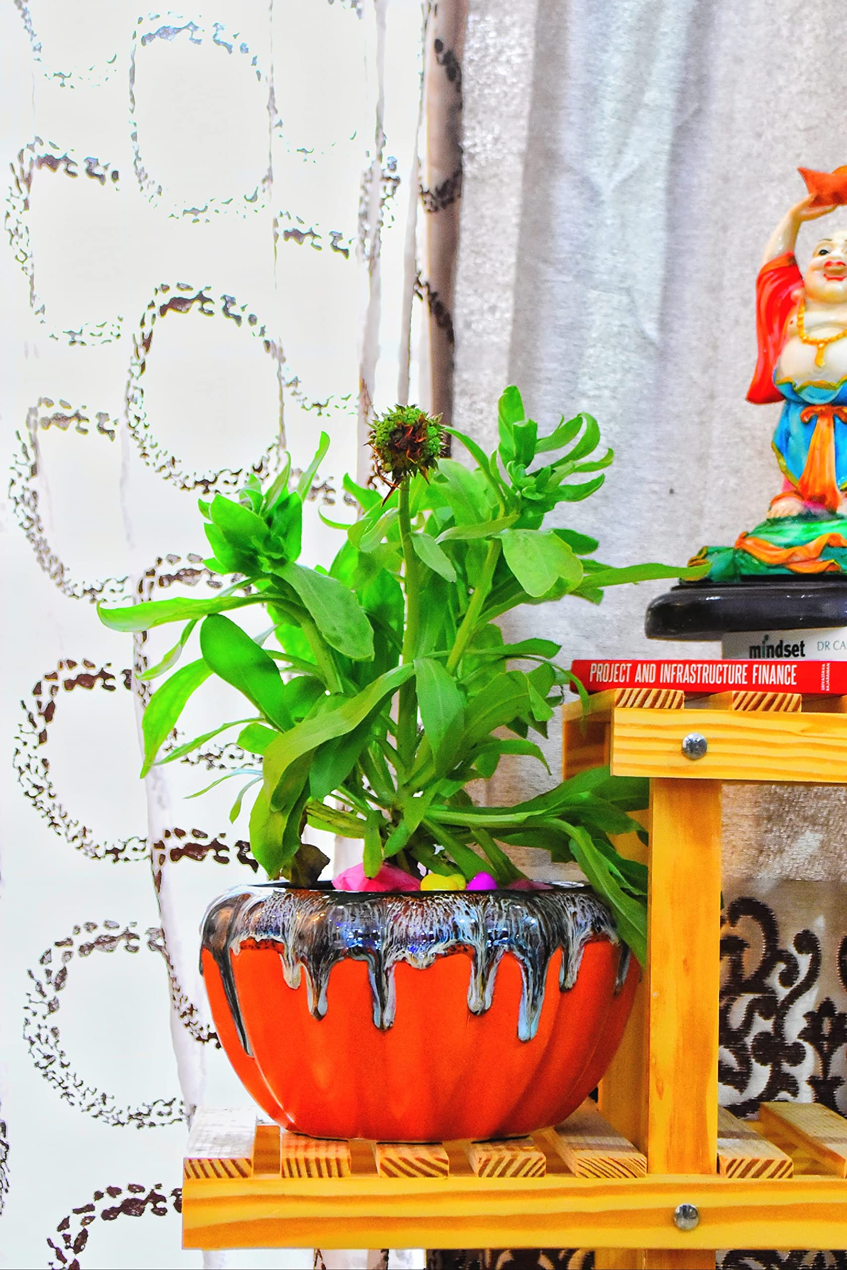 See full amazon price history chart for Niyara Stylish Unique Glacier Look Green Ceramic Pots Planters for Indoor Plants,Succulent,Outdoor,Balcony,Home,Garden,Office Size -Medium (Peach) Niyara Stylish Unique Glacier Look Green Ceramic Pots Planters for Indoor Plants,Succulent,Outdoor,Balcony,Home,Garden,Office Size -Medium (Peach) (B08L6XWZSR) Amazon Price History, Amazon Price Tracker