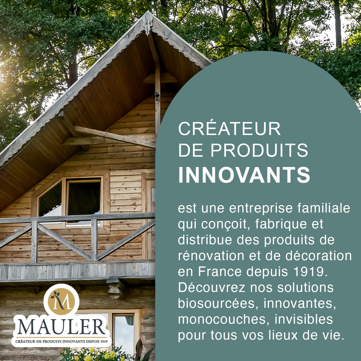 MAULER - Traitement Insecticide Fongicide Xylophage - 5L - Incolore - Action préventive ou curative intérieur extérieur
