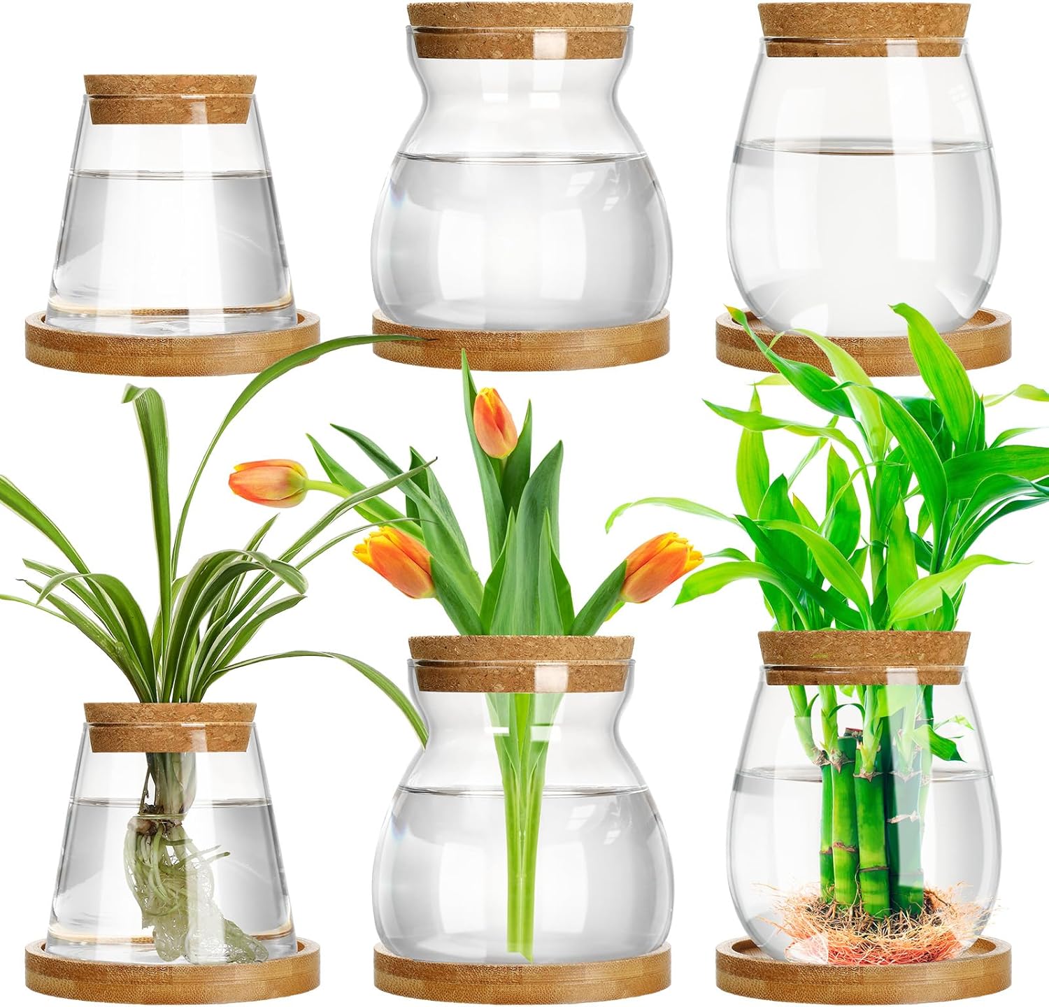 Beeveer 6 Pcs Plants Propagation Station Separated Desktop Plant Terrarium with Wood Lid and Stand, 3 Sizes Glass Planter Propagated Jars Propagation Vases for Indoor Home (Novel Style)