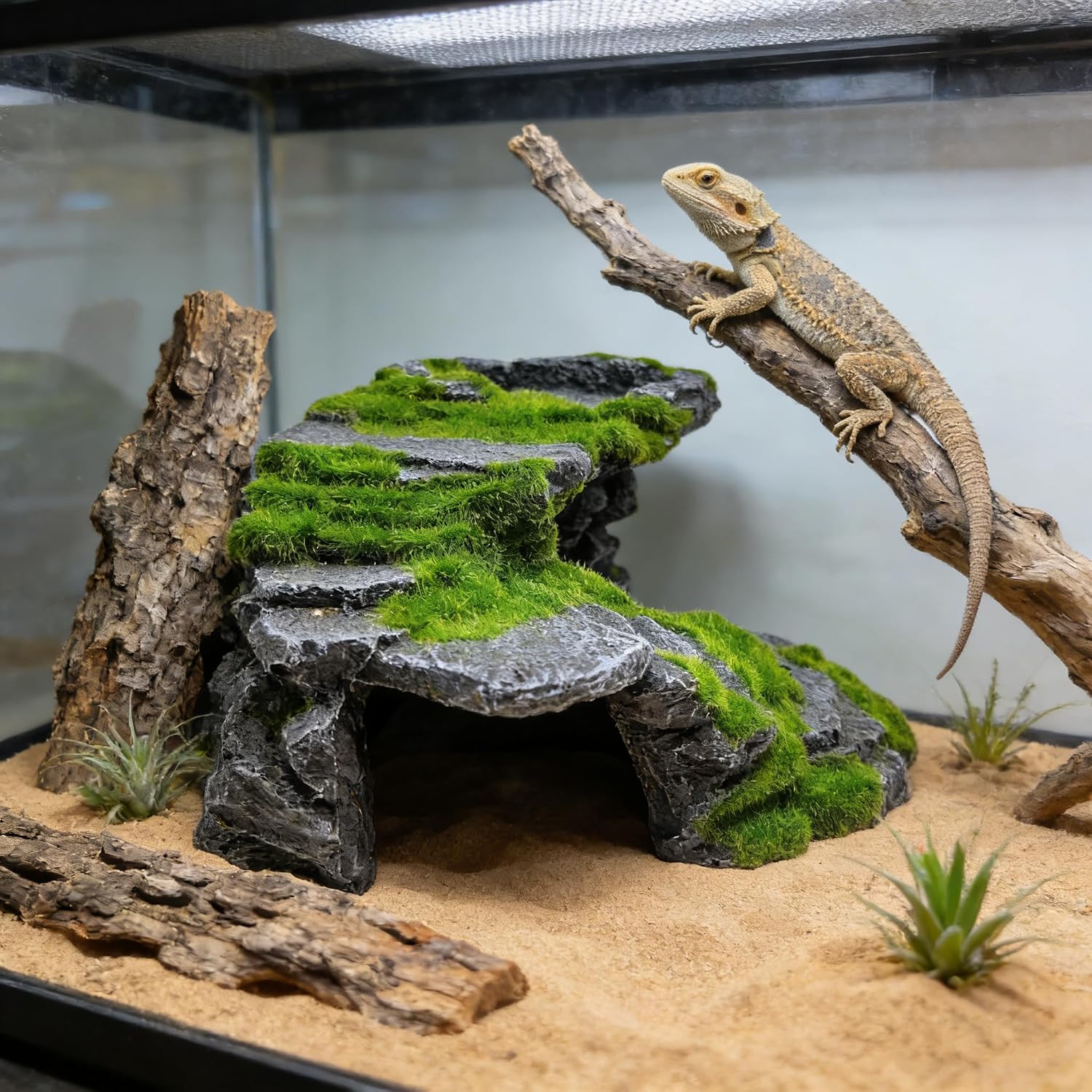 M2cbridge Reptile Hide Resting Step Ledge Cave Hideout Turtle Basking Platform – Great for Reptiles, Amphibians, and Fish (Moss Step Ledge B)