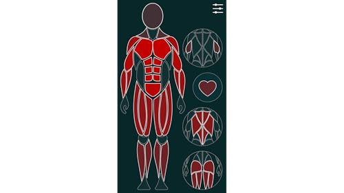 Gymap - free visual workout log & interval timer