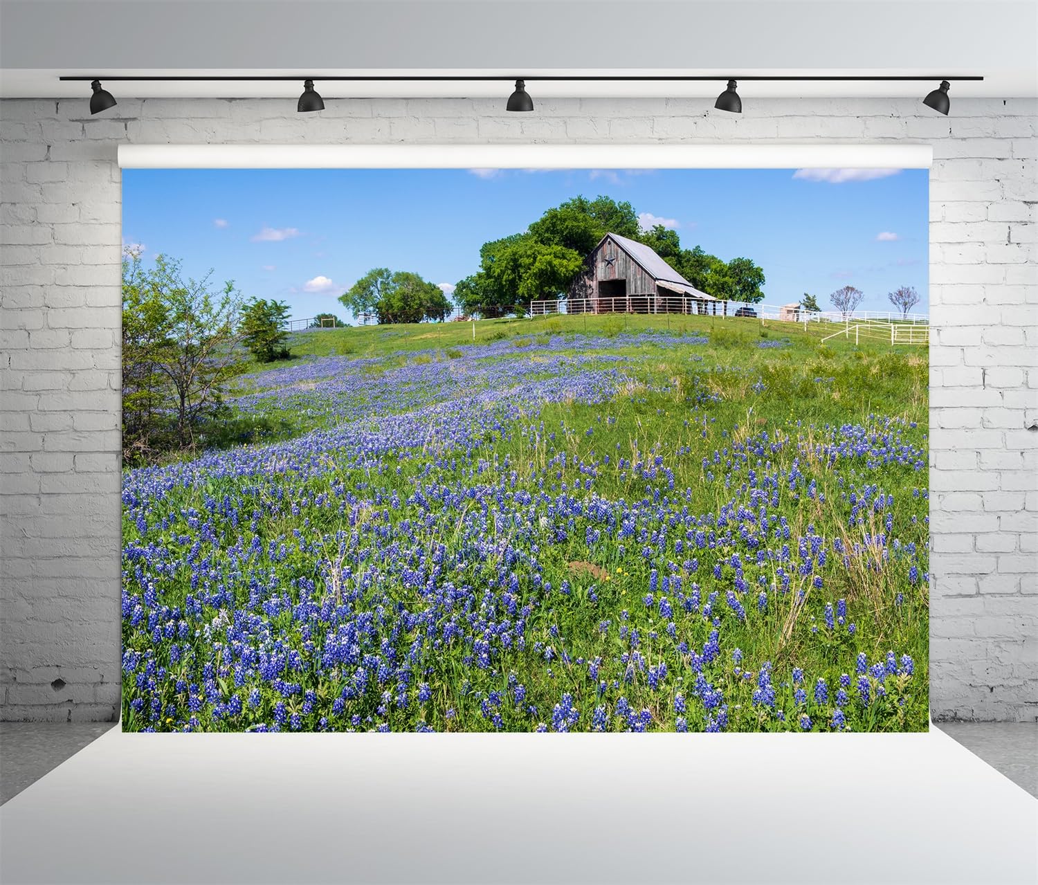 BELECO 3x2.5m Telo sfondo fienile collina campagna | Vecchio fienile fiori lupini colline Texas sfondo decorazione festa banner accessori studio fotografico