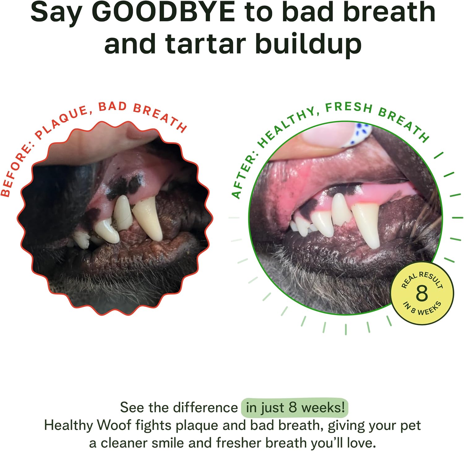 Dental Powder for Dogs - Complete Oral Care Bone Broth, Dog Teeth Cleaning Powder, Tartar Remover, Fresh Breath, Sensitive Stomach Support, No Brush Dental Care, 4.2 oz, 60 Scoops