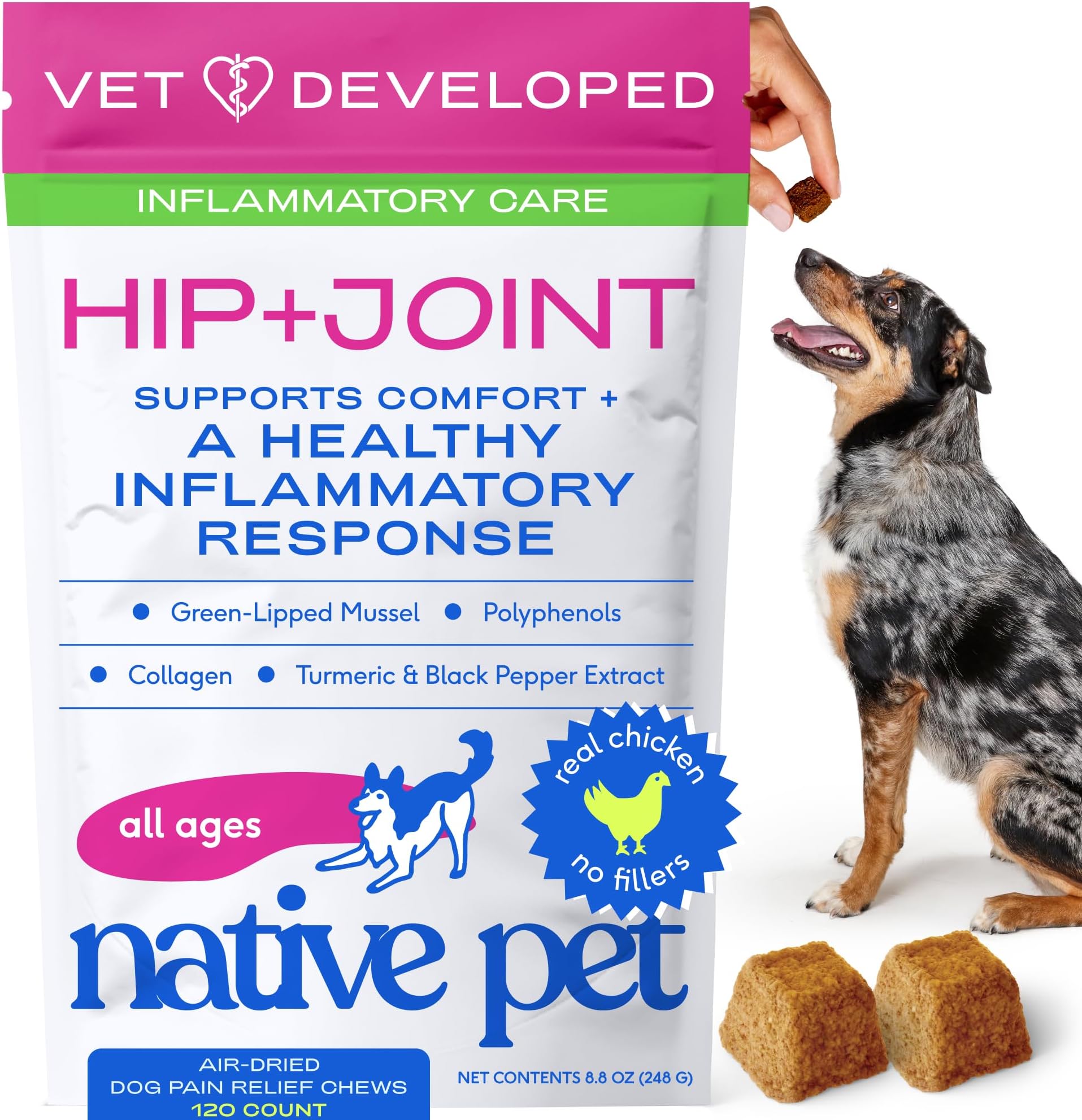 Native Pet Inflammatory Care - Pain Relief for Dogs - Green-Lipped Mussel, Turmeric & Collagen for Dogs - Hip and Joint Supplement Supports Healthy Inflammatory Response & Joint Comfort - 120 Chews