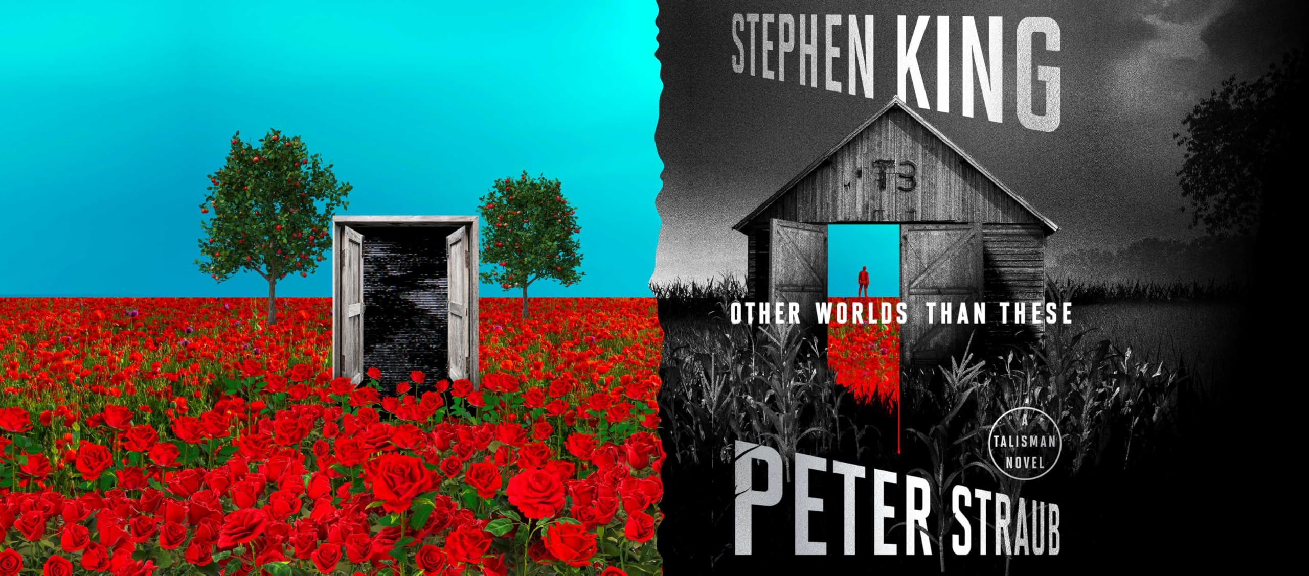 Other Worlds Than These: A Talisman Novel (Volume 3)