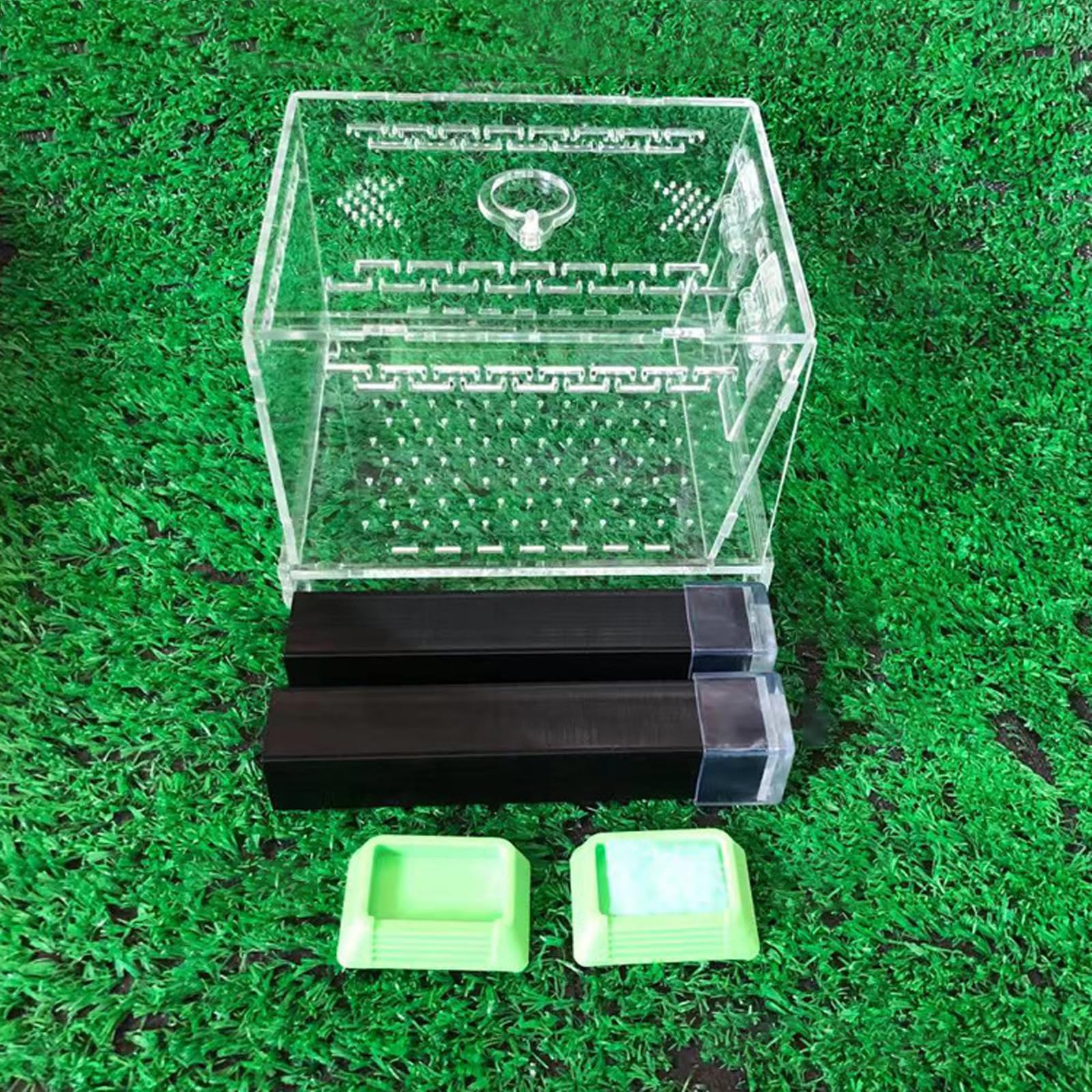 Carri armati con cassetto per feci e accessori per l'alimentazione di ragni, rettili, casa, ufficio, cricket