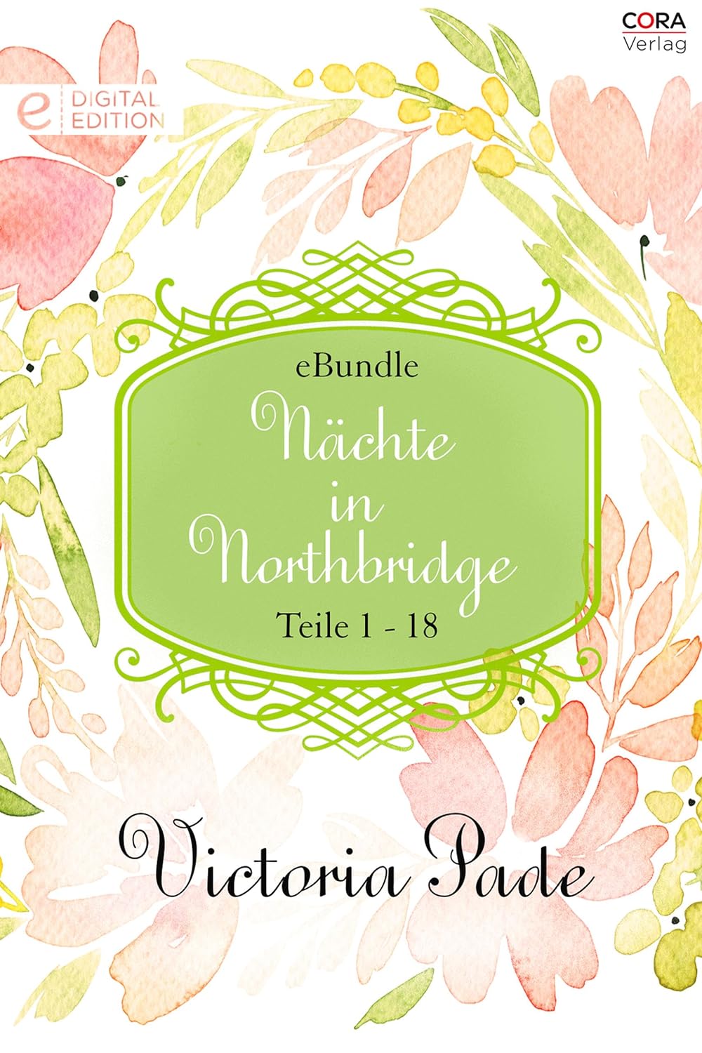 Nächte in Northbridge (18-teilige Serie): Digital Edition (eBundle) (German Edition)