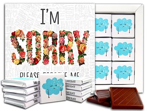 SORRY, Juego de regalo de chocolate, 5 x 5 pulgadas, 1 caja (Flowers Prime)