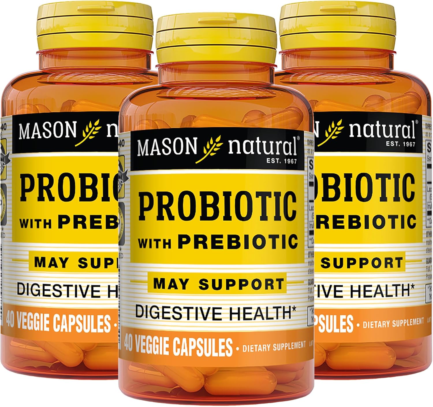 Mason Natural Probiotic with Prebiotic, 120 Day Supply for Normal Digestive Function & Improved Gut Health, 3 Pack