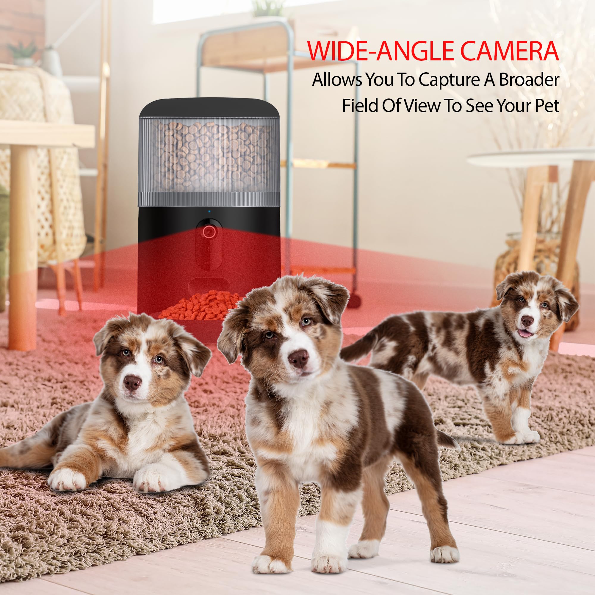 Energizer Smart Pet Feeder with 2K Video Camera, 5Ghz & 2.4Ghz Dual Band Wi-Fi, 2-Way Audio, Night Vision, 4L Food Capacity, Remote Feeding Dogs & Cats, Compatible with Alexa & Google, Records - image 2