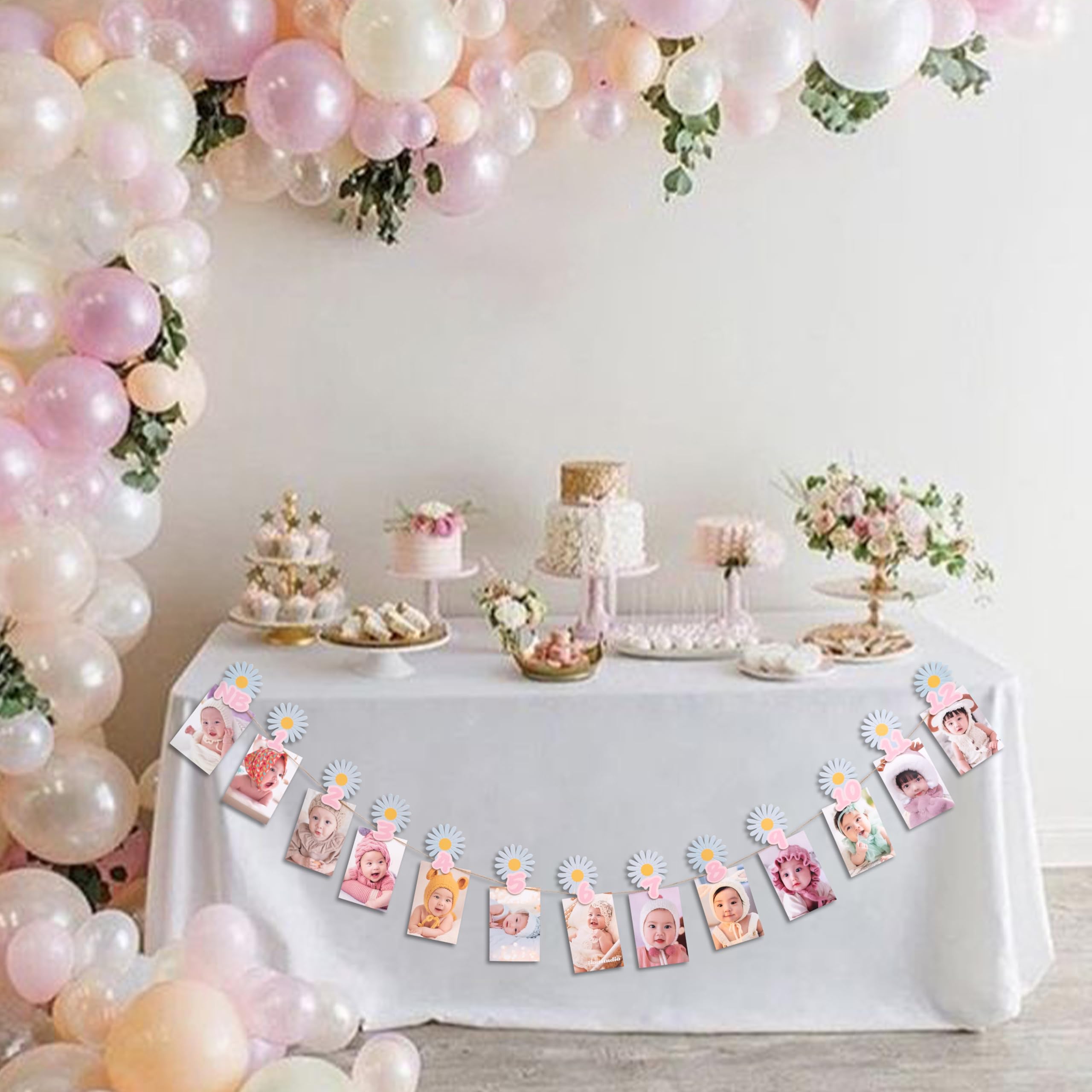 Daisy 12 Monthly Photo Banner - First Birthday Decor, Groovy One Milestone Banner - View #9