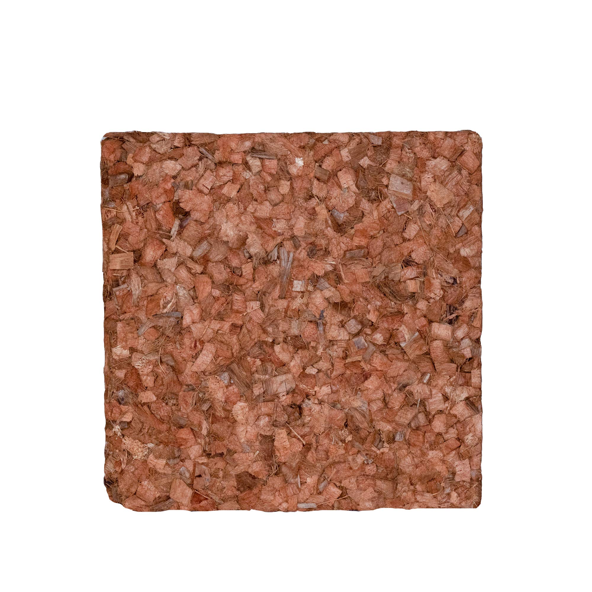 BIOCOCCO 5 kg Block Chip Humus per Terrari Confezione Singola da 5 kg, sviluppa Fino a 50 Litri di Materiale