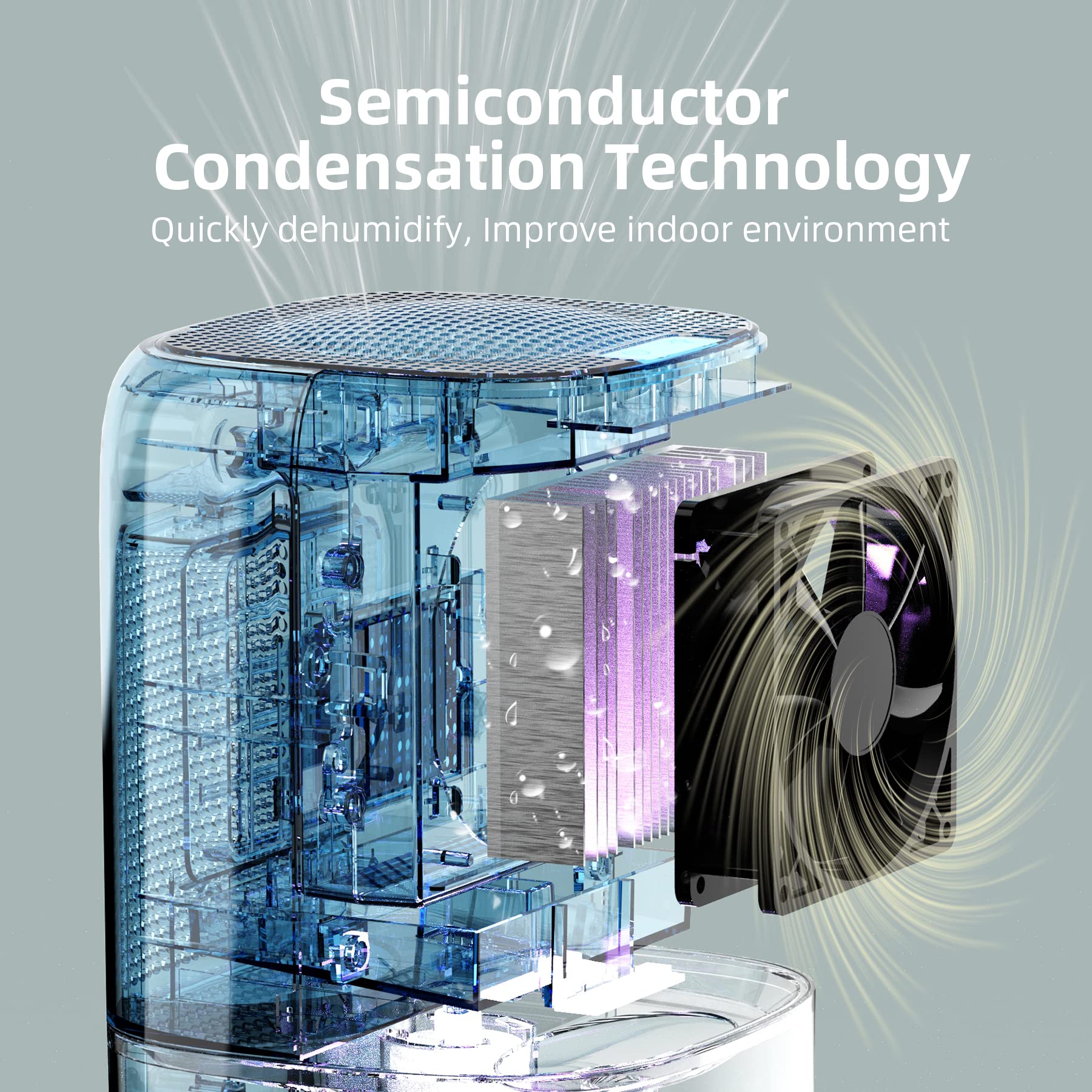 Deumidificatore Casa 1000ML Portatile - Assorbi Umidità Per Camera, Bagno, Cantina, Con Spegnimento Automatico - Foto 4