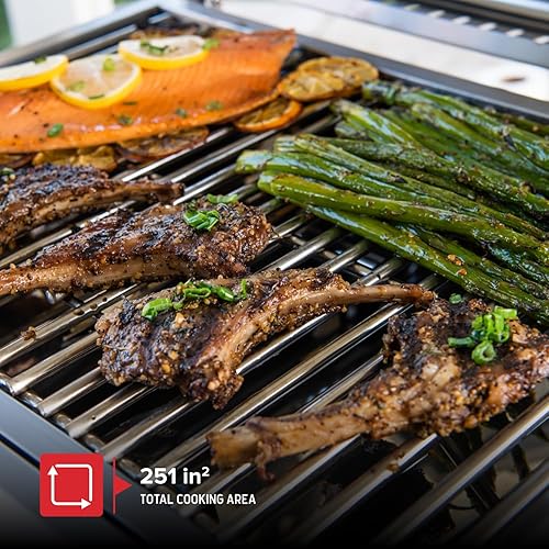 Miniatura 3 de Nexgrill Parrilla de gas portátil de acero inoxidable de 2 quemadores, 20,000 BTU, 251 pulgadas cuadradas de espacio de cocción, perfecta para