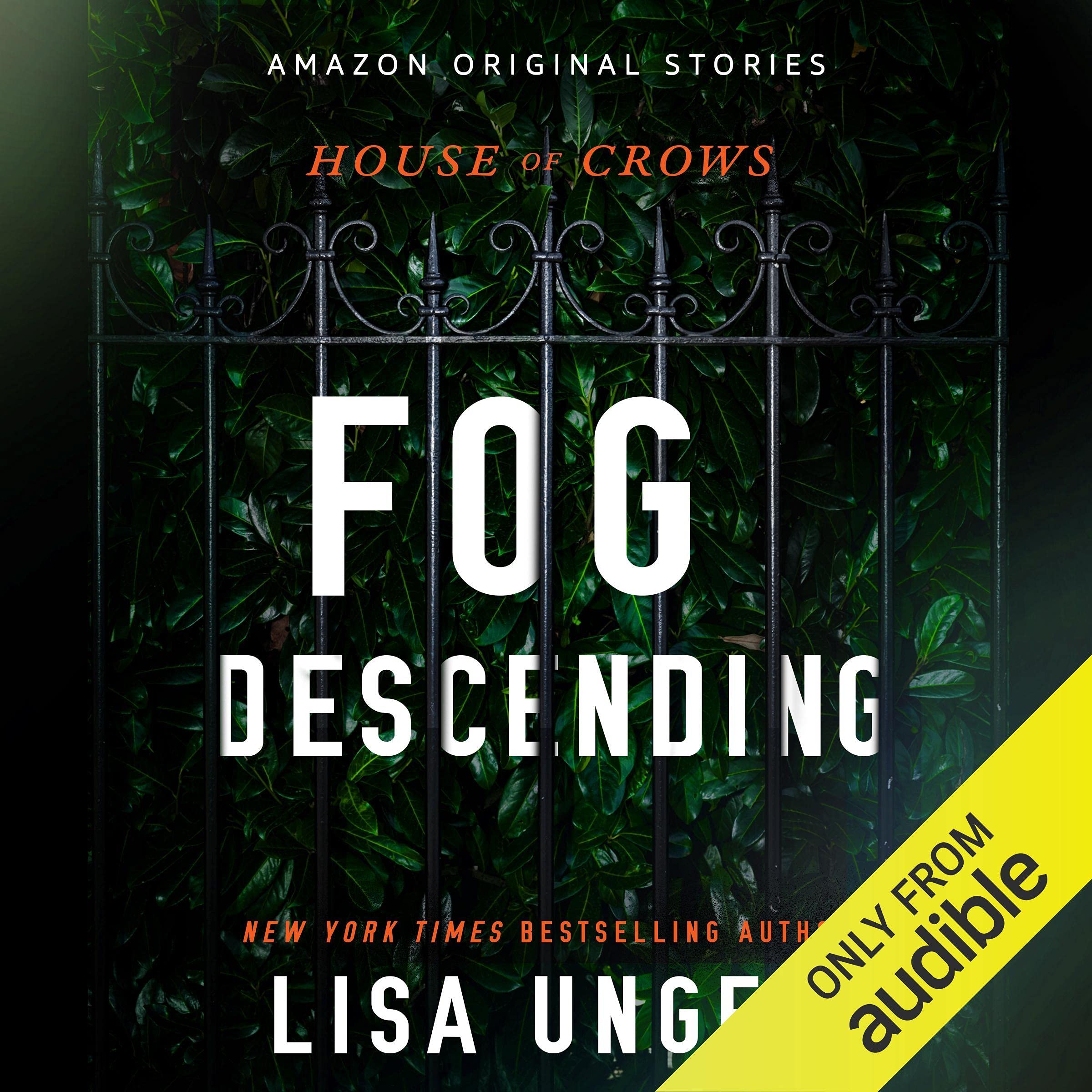 Cover art for Fog Descending