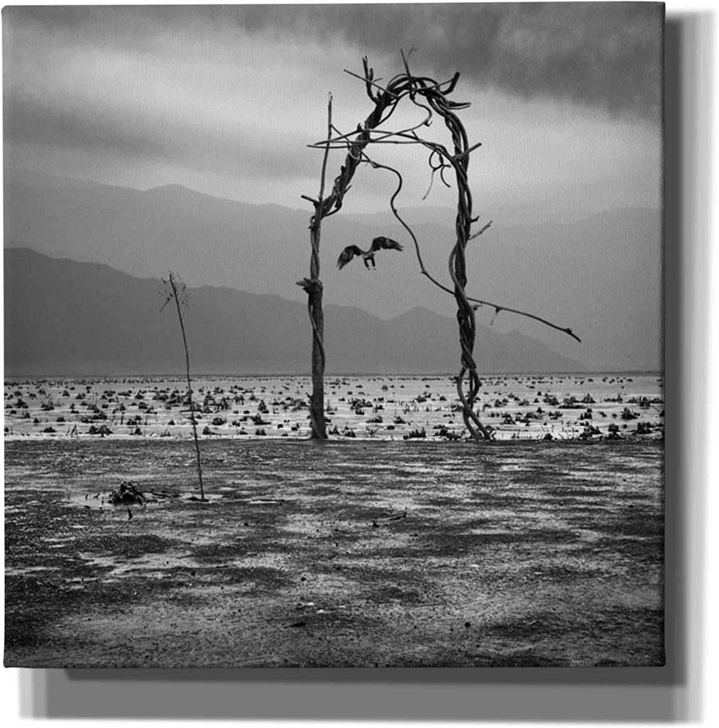 Epic Graffiti 'Eagle' by Dariusz Klimczak, Canvas Wall Art, 12"x12"