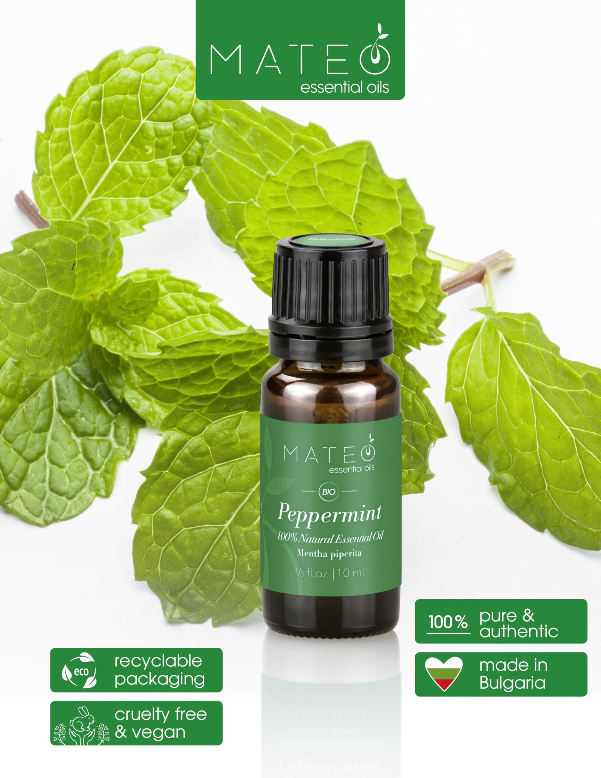 MateoEssentialOils – Olio Essenziale di Menta Piperita 100% Puro & Naturale – Qualità terapeutica – Ideale per Aromaterapia, Diffusori, Massaggi e Cura del Corpo – Effetto Rinfrescante – 10 ml.