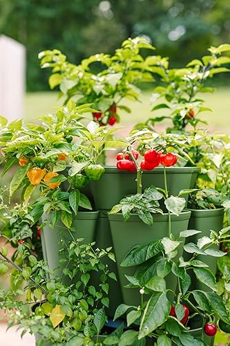 Miniatura 6 de Greenstalk Maceta de jardín vertical grande patentada de 5 niveles con sistema de riego interno patentado, ideal para cultivar una variedad de