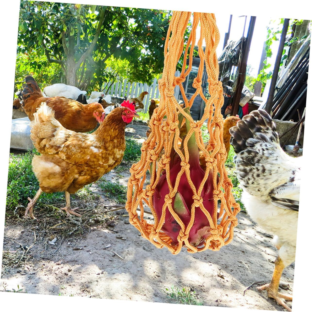 BESPORTBLE 3sets Hanging Chicken Cabbage Feeder Net Bag Safe Poultry Feeding Tool for Vegetables and Fruits Hooks for Chicken Coop and Feeding