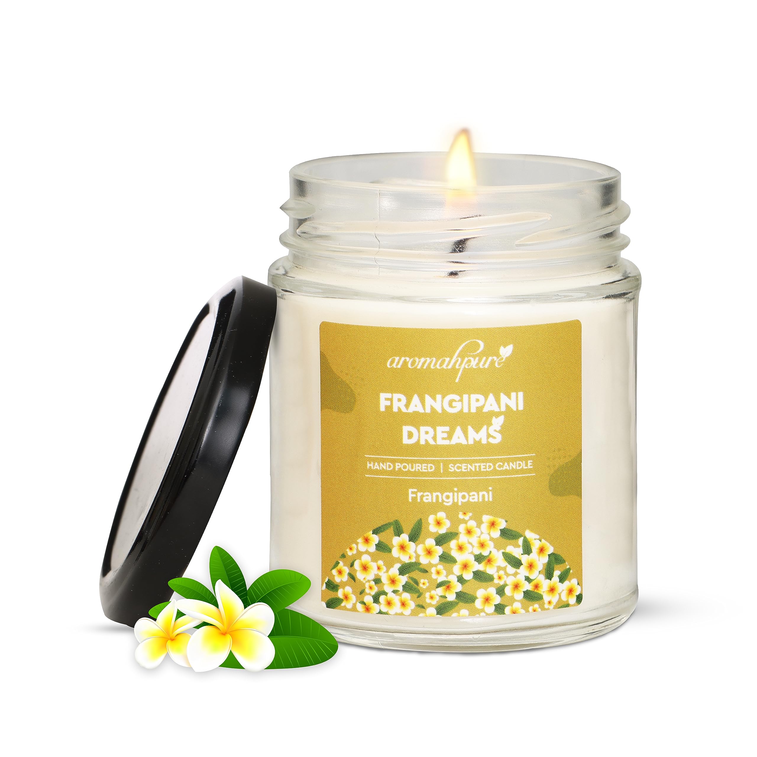 Aromahpure Scented Candle (45 hrs) (100% Soy Wax)- Handcrafted | Smoke-Free |Frangipani DreamsFrangipani- Fragrance Candles for Home & Gift Sets-image-31
