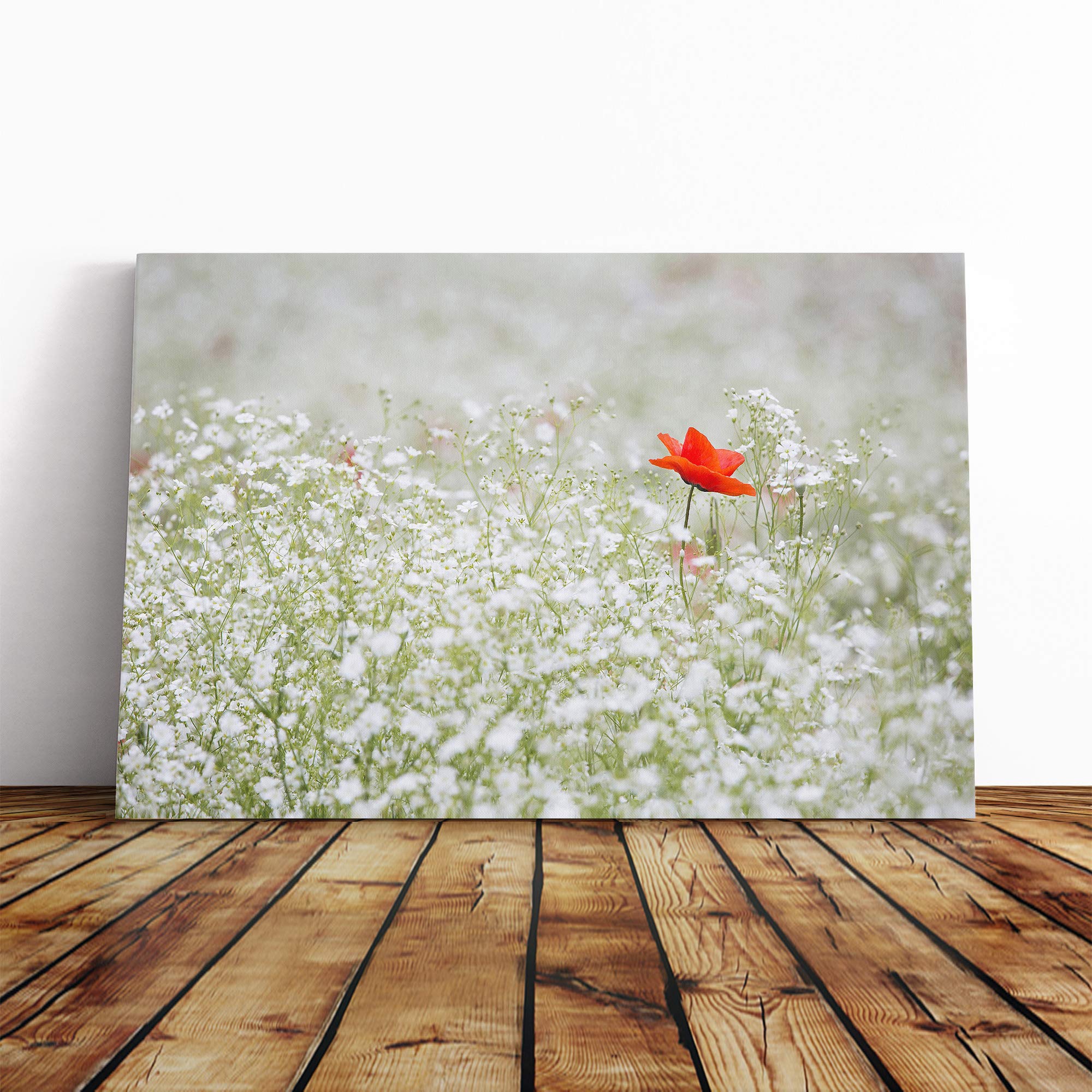 Flower Lone Poppy Canvas Print | Gallery Wrapped 30mm Frame Wall Art | 20x14 inches | Ready to Hang | Modern Floral Picture | Living Room Bedroom Lounge Office