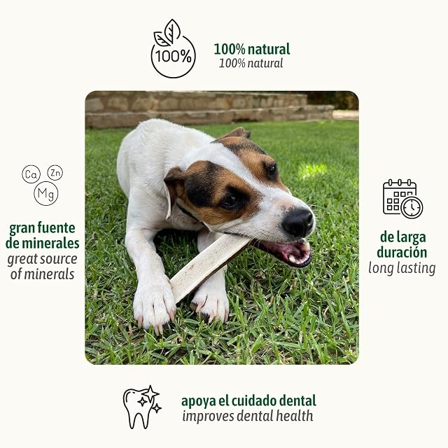 Foto 2 de 8 de ChronoBalance-XL Asta de Ciervo para Perros Partido por la Mitad, 100% Natural, Snack para el Cuidado Dental