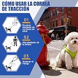 Ver la foto 7