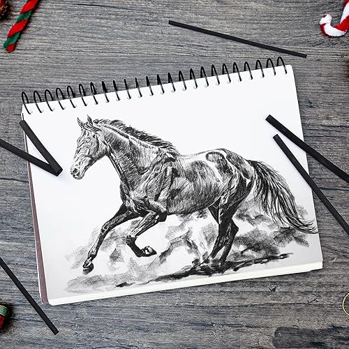 Miniatura 8 de PANDAFLY Palitos de carbón de sauce, suave, carbón de vid negro para artistas, principiantes, estudiantes, ideal para bocetos, dibujos, sombreado y