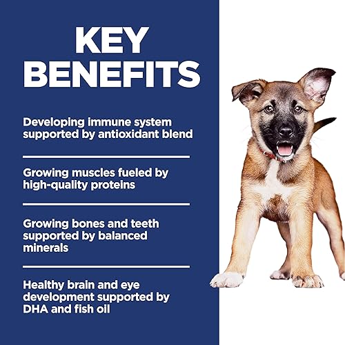 Miniatura 4 de Hill's Science Diet Alimento para cachorros de raza grande, DHA para apoyar el desarrollo saludable, alimento seco para perros con pollo y arroz