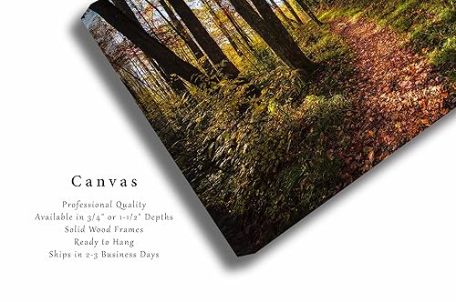 Miniatura 2 de Nature Canvas Wall Art (Ready to Hang) Gallery Wrap of Leaf Covered Trail Leading Into Forest on Autumn Day in Great Smoky Mountains Tennessee