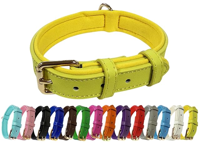 Collar de perro ajustable de piel auténtica vibrante con acolchado de neopreno suave
