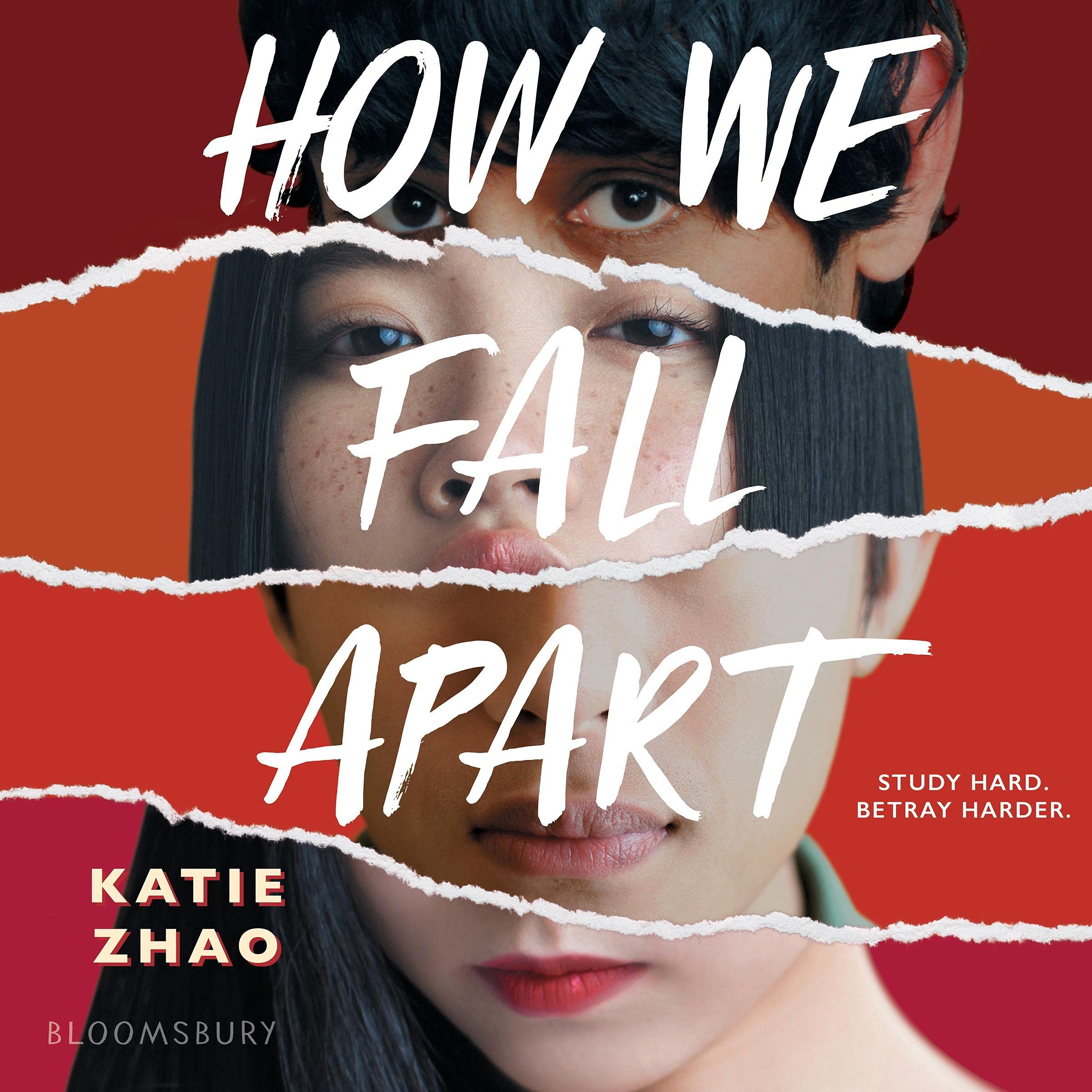 Cover art for How We Fall Apart