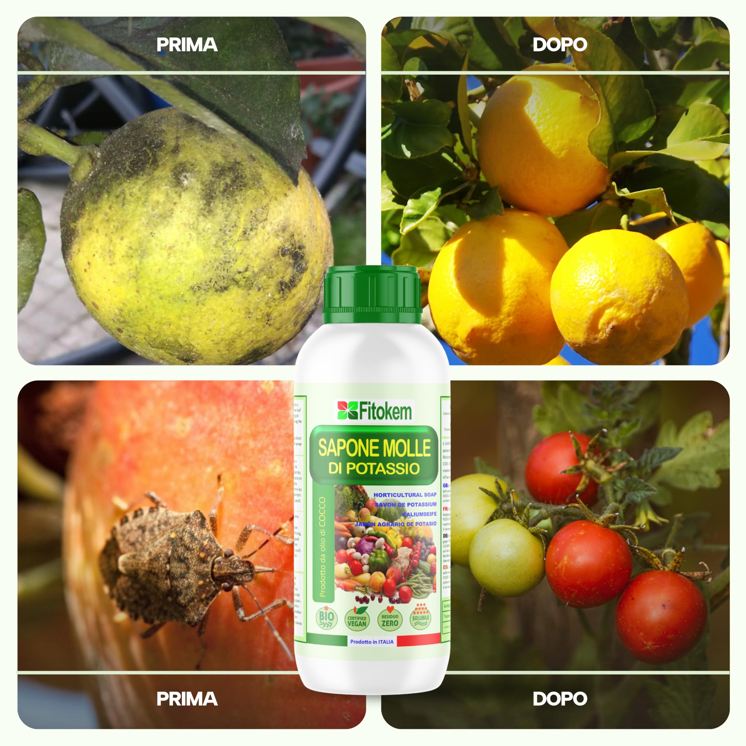 FITOKEM Sapone Molle Potassico per Piante 1L Insetticida Afidi Cocciniglia