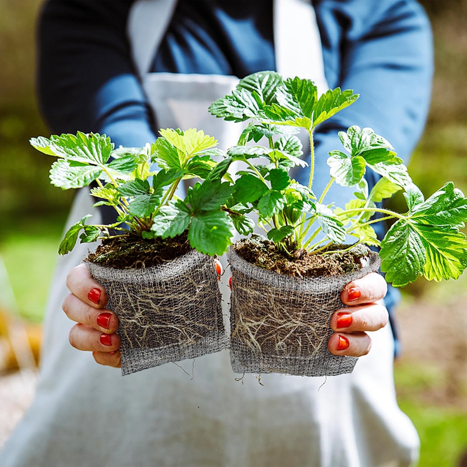30PACK Go-pher and V-ole Wire Baskets 1 Gallon 3 Gallon 5 Gallon, Stainless Steel 1 Gallon Plant Root Go-pher Baskets for Underground, Fruit Protection Wire mesh Bags (100% Protection)