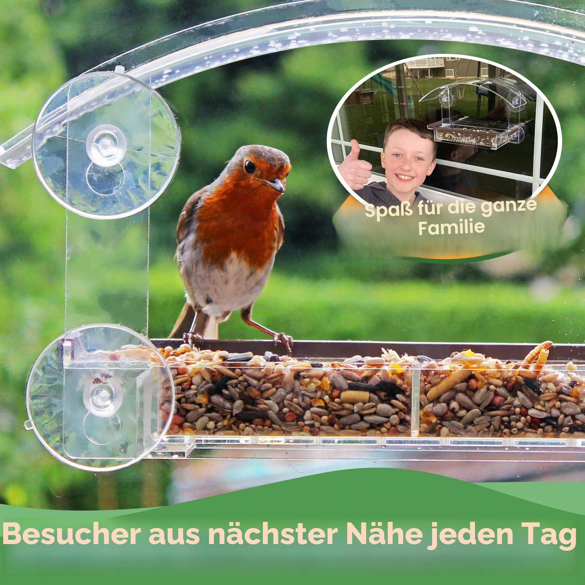 Fenster Vogelhäuschen mit Starken Saugnäpfen – Sicherer Vogelfutterspender mit Saugnapf – Durchsichtiges Vogelfutterhaus für Fenster – Eichhörnchen-Sicheres Vogelhaus zum Beobachten von Vögeln