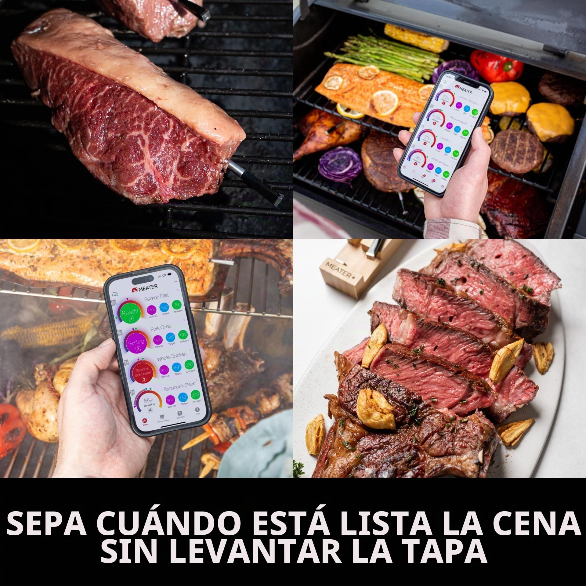 MEATER Block | Termómetro inalámbrico inteligente para carne para el horno, parrilla de cocina, barbacoa, ahumador, asador con Bluetooth y conectividad digital WiFi