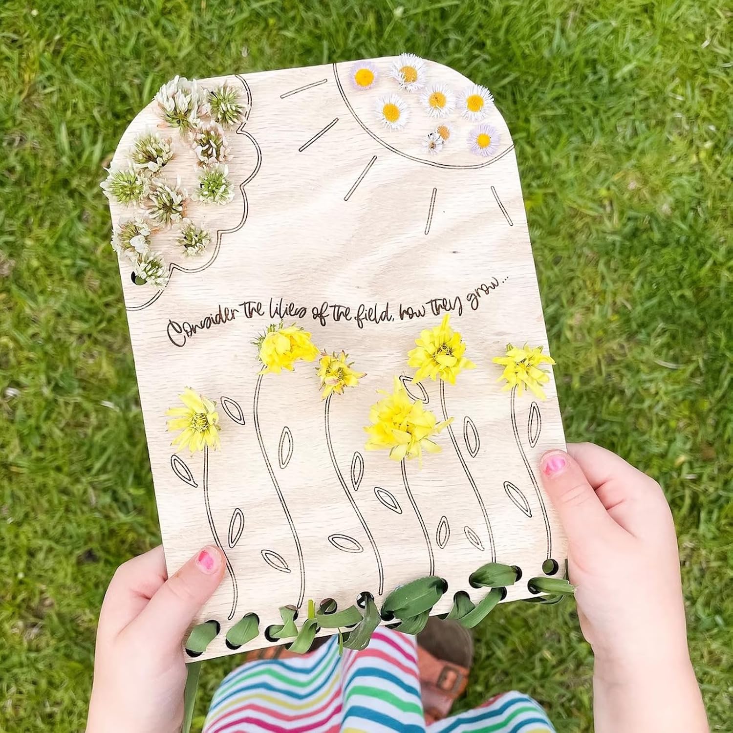 Display Board Plant Collection Tray Wood Grass/Collector Board for Art Enthusiasts Florals Decorations Flower Accessorys