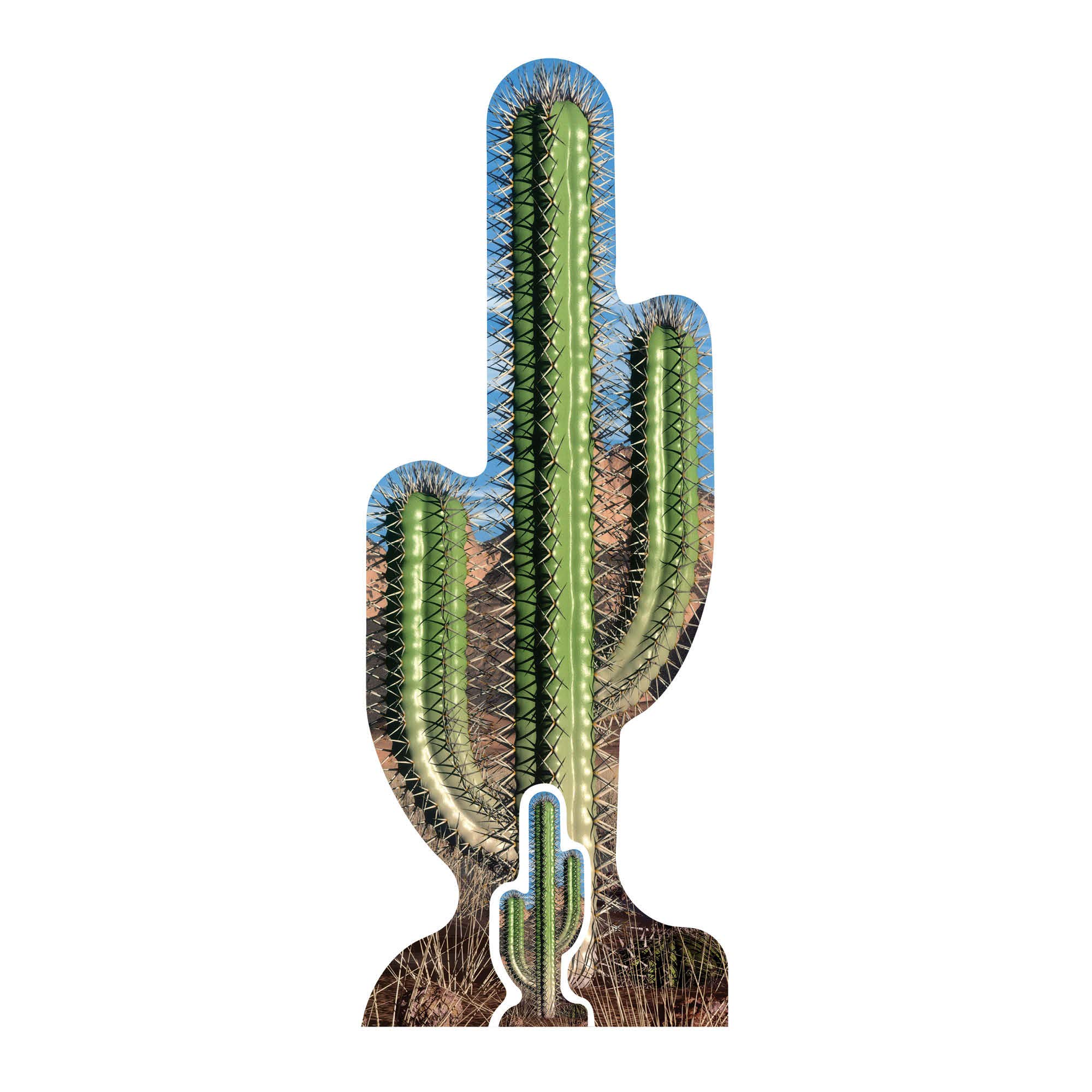 Cactus Single Cardboard Cutout Fun Figure 183cm Tall- Great for themed Parties