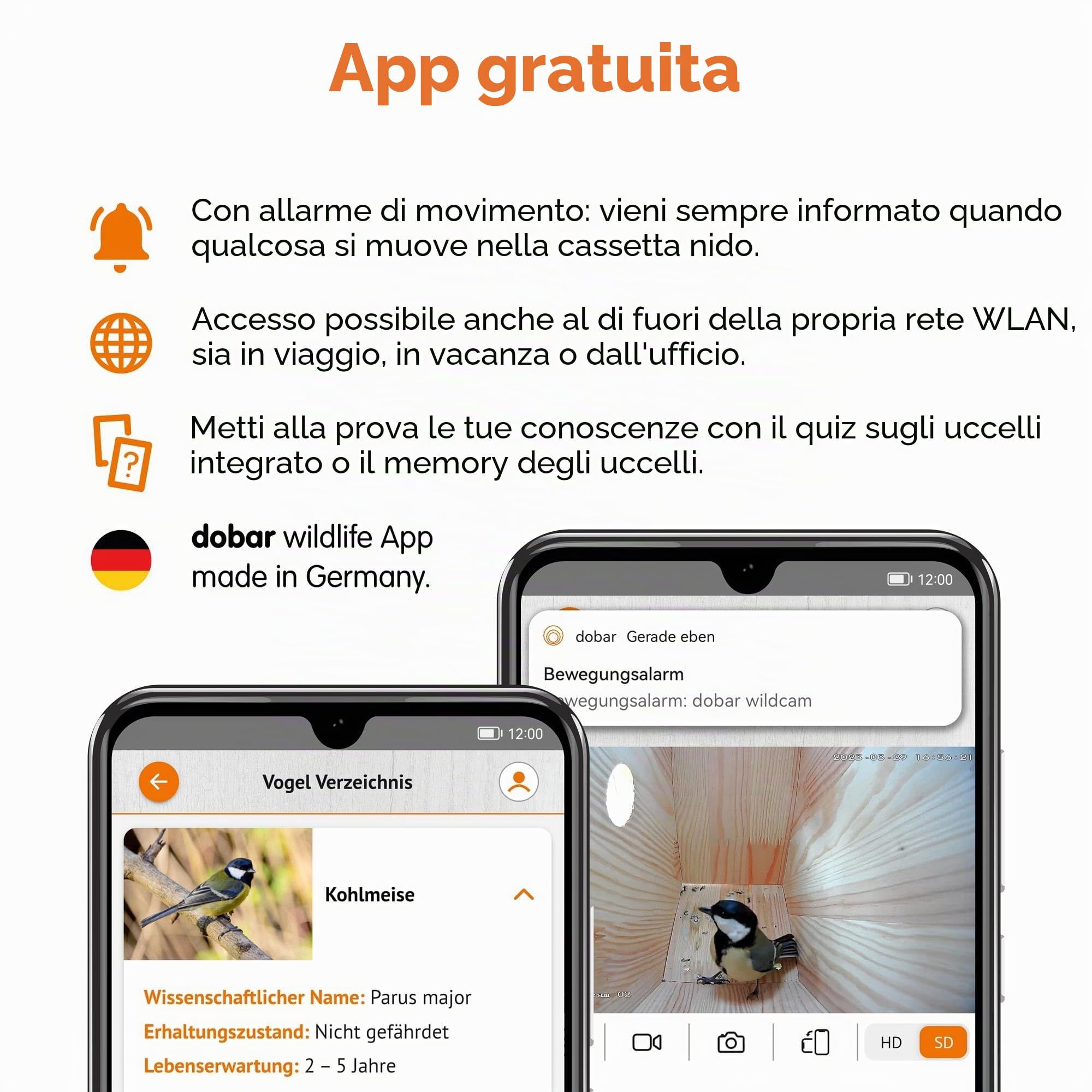 dobar® Nido Eazy con telecamera WiFi e pannello solare – Birdwatching con supporto per nidificazione in legno e app – Ø 30 mm foro – verde