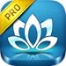 End Anxiety Hypnosis PRO - Guided Relaxation to Relieve Chronic Stress & Panic Attacks